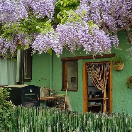Cabana Con Vistas En Trevelin Exterior photo
